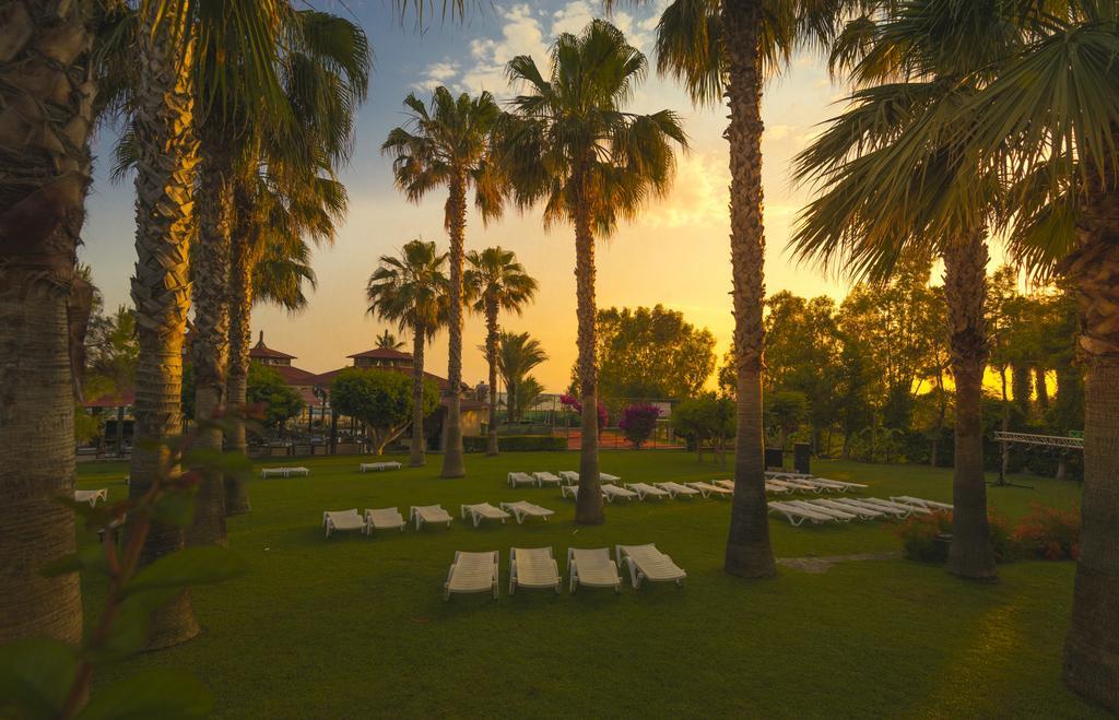 סייד Hotel Terrace Beach Resort All Inclusive מראה חיצוני תמונה